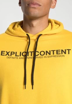 Pier One Sweat à Capuche Petit Prix Pulls Et Gilets Unisex -Fashion Zone Soldes b8cbb614fdc04e7a8ff4432dcc2e6ff3